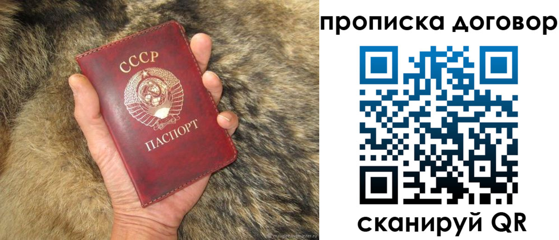 прописка регистрация в Богучаре
